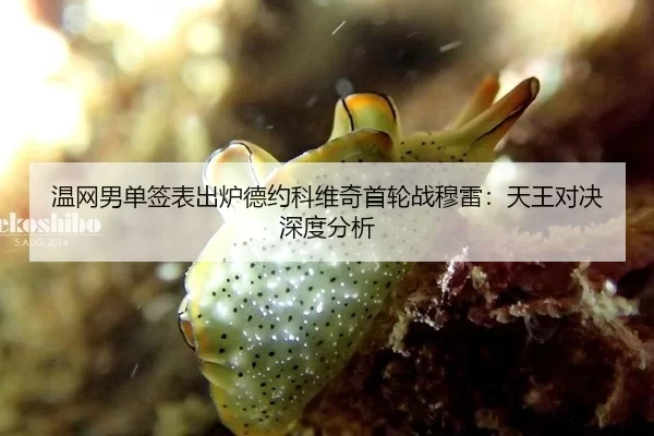 温网男单签表出炉德约科维奇首轮战穆雷：天王对决深度分析