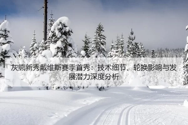 灰熊新秀戴维斯赛季首秀：技术细节、轮换影响与发展潜力深度分析