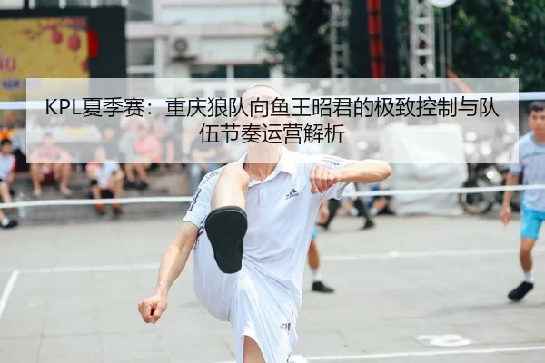 KPL夏季赛：重庆狼队向鱼王昭君的极致控制与队伍节奏运营解析