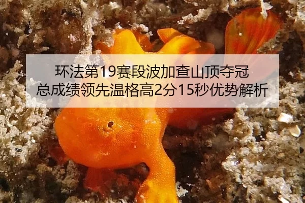 huan-fa-di-sai-duan-bo-jia-cha-shan-ding-duo-guan-zong-cheng-ji-ling-xian-wen-ge-gao-fen-miao-you-shi-jie-xi-3-462.jpg